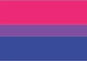 Bandeira LGBTQIA+ Orgulho Bissexual